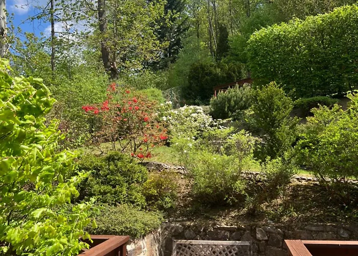 Apartament Wespartment - Meets Nature Mariańskie Łaźnie